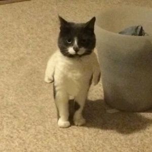 Meet your Posher, Andrew